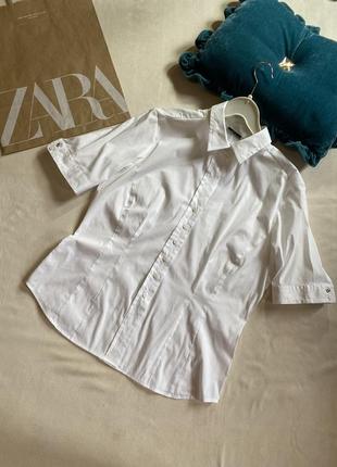 Красивая базовая рубашка eterna оригинал