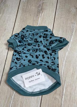 Одяг для тваринок кофта для собак невеликих порід одяг для дрібних собак poppy + ted1 фото