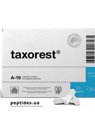 Таксорест / taxorest 60 кaпсул, пептиды для бронхов и легких (дыхательная система)