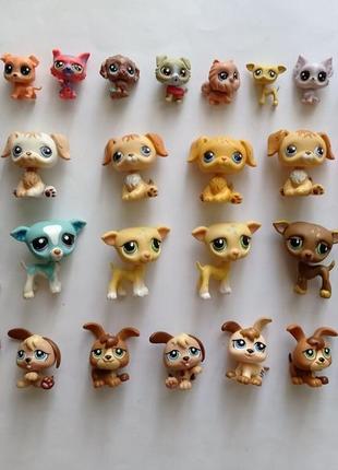 Собака животное питомец лпс литлест пет шоп lps liitlest pet shop хасбро hasbro.6 фото