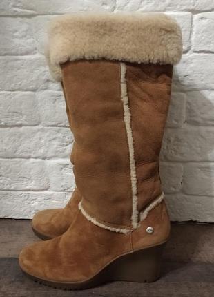 Сапоги на танкетке ugg Чоботи australia