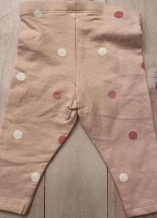 Лосини дитячі, легінси, штани, штанішки для дівчинки, h&m лосини в крапочку, натуральні бавовняні легінси в кружечок5 фото