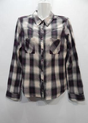 Рубашка фирменная женская хлопок dorothy perkins ukr 44-46 124tr (только в указанном размере)