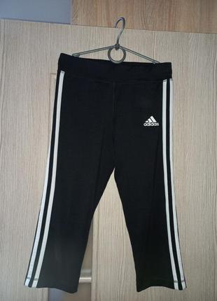 Бриджи adidas женские