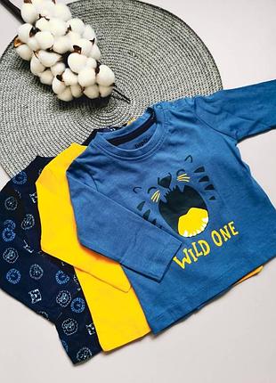 Комплект регланов для мальчика wild one