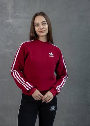 Костюм adidas зима: свитшот-брюки 2 пары носка в подарок ❄️1 фото