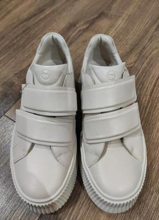 Шкіряні тамаріси