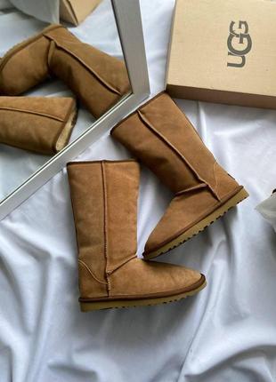 Жіночі уггі, бежеві