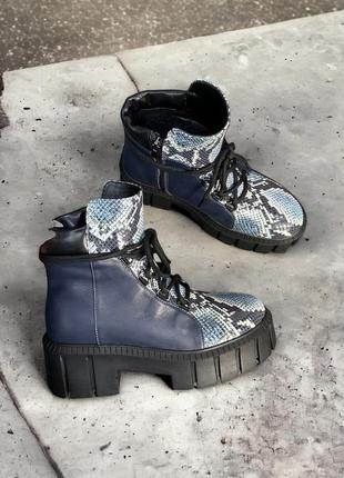 Сині черевики casper натуральна шкіра пітон з широкою шнурівкою зима демісезон