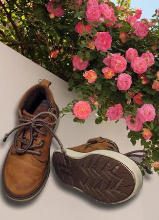 Мальчукові шкіряні кеди — черевики geox. розмір 31.