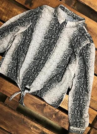 Женская рубашка (блуза) в змеиный принт f&f (эф энд эф 3хлрр идеал оригинал разноцветная)