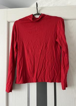 Гольфи жіночі базові