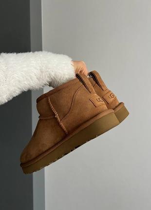 Уггі ugg classic mini4 фото