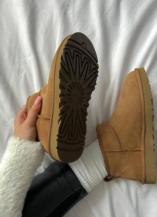 Уггі ugg classic mini2 фото