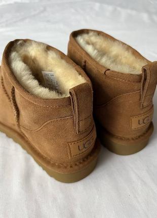 Уггі ugg classic mini8 фото