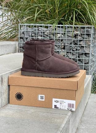 Женские угги ugg classic mini brown2 фото