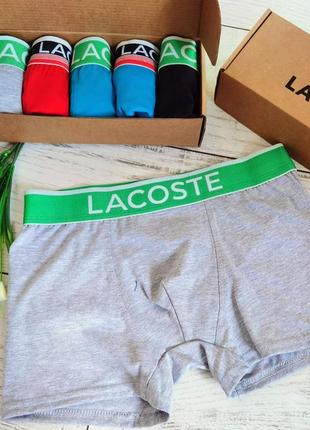 Трусы lacoste, боксеры лакоста1 фото