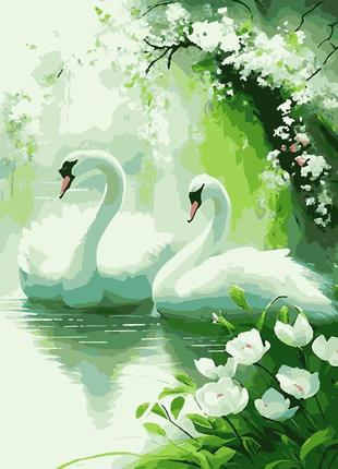 Картина по номерам лебеді  40 х 50 artissimo pn0234