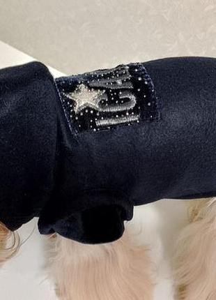 Одежда для собак мелких пород