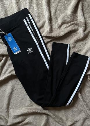 Лосини adidas