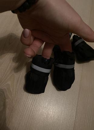 Сапожки для собачек