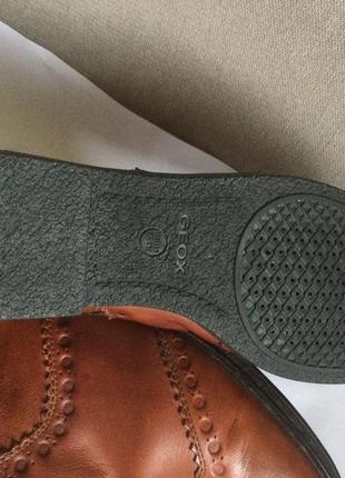 Кожаные ботинки известного бренда geox итальялия8 фото