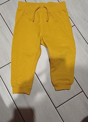 Теплые спортивные штаны спортивки