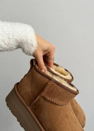 Уггі замшеві на овчині ❄️ugg women's classic ultra mini platform bootie