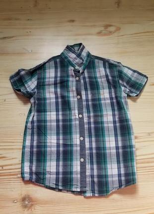 George сорочка