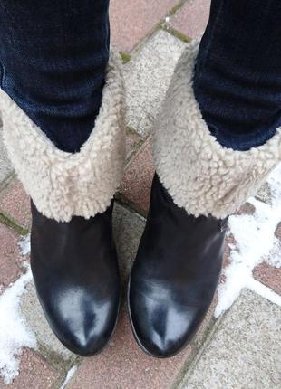Сапоги clarks, утеплённые ботинки, кожаные сапоги