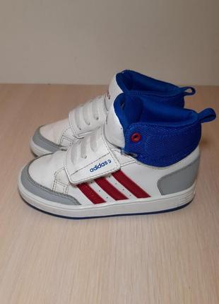 adidas dragon 25 250 c 94463233