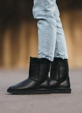 Зимние женские угги на меху ugg classic high zip черные (уггі)