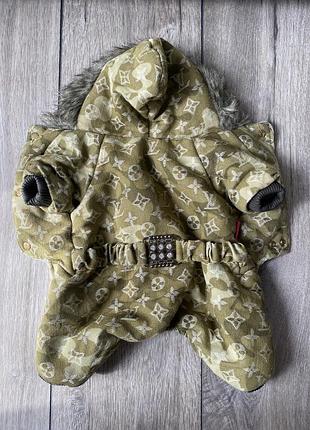 Костюм для собак