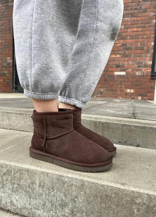 Зимние угги ugg classic mini brown