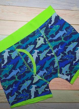 Боксери шортики акула