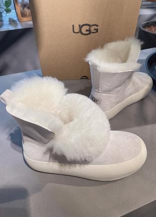 Ugg уггі зимові черевики з овчини