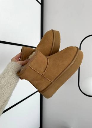 Женские угги коричневые замшевые ugg mini platform ginger suede5 фото