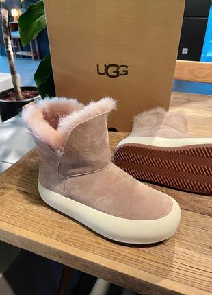 Уггі ugg зимові черевики овчина6 фото