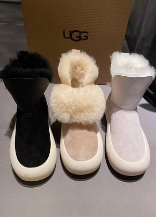 Уггі ugg зимові черевики овчина