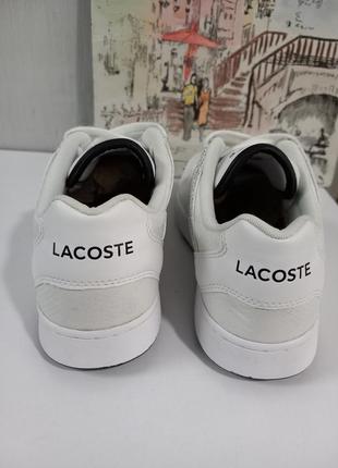 Кросівки lacoste оригінал5 фото