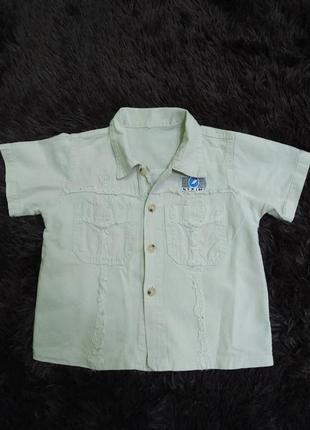 Рубашка хлопок с коротким рукавом для мальчика 2 года, lixin