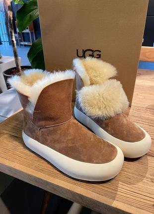 Уггі ugg зимові черевики овчина7 фото