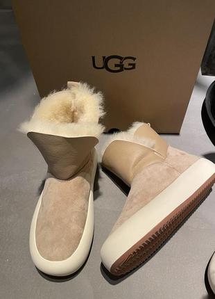 Уггі ugg зимові черевики овчина8 фото