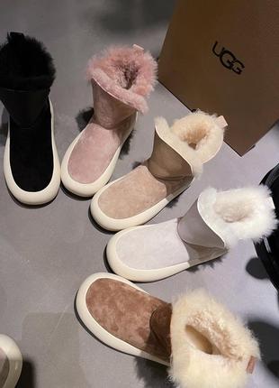 Уггі ugg зимові черевики овчина10 фото