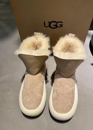 Уггі ugg зимові черевики овчина9 фото