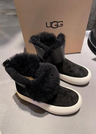 Ugg угги зимние ботинки овчина6 фото