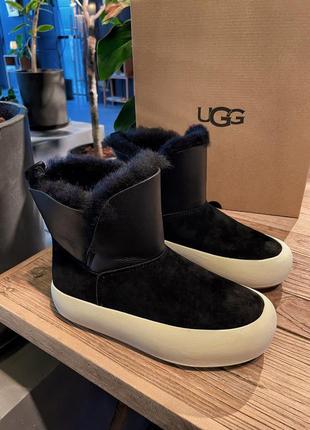 Ugg угги зимние ботинки овчина1 фото