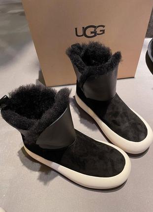 Ugg угги зимние ботинки овчина5 фото