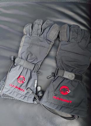 Перчатки (перчатки) mammut goor-tex (s-l)
