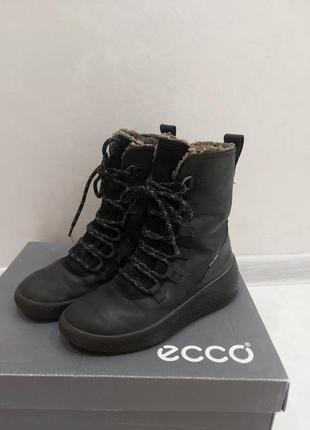 Детские сапоги ecco